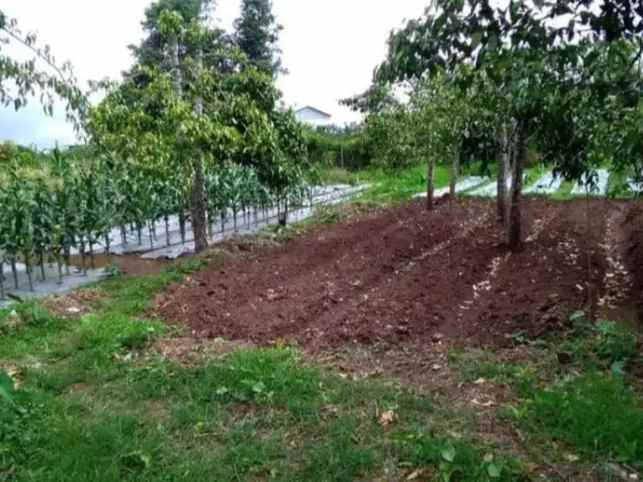 dijual tanah agro kusuma