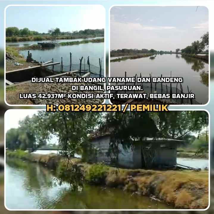 dijual tanah bangil pasuruan