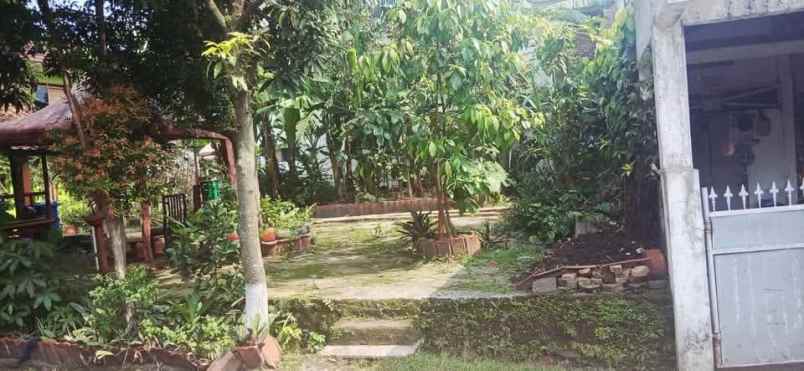 dijual tanah bumi asri