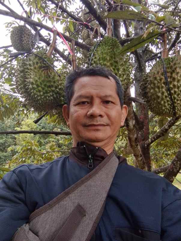 dijual tanah bunihayu subang