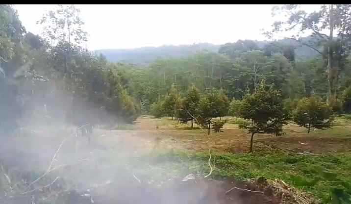 dijual tanah bunihayu subang