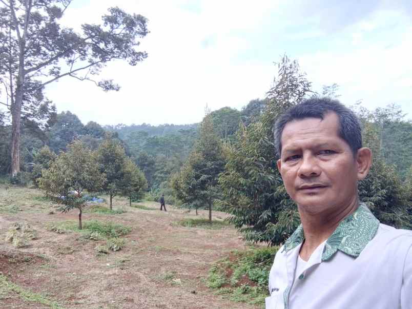 dijual tanah bunihayu subang