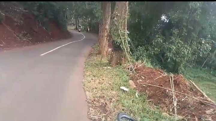 dijual tanah bunihayu subang