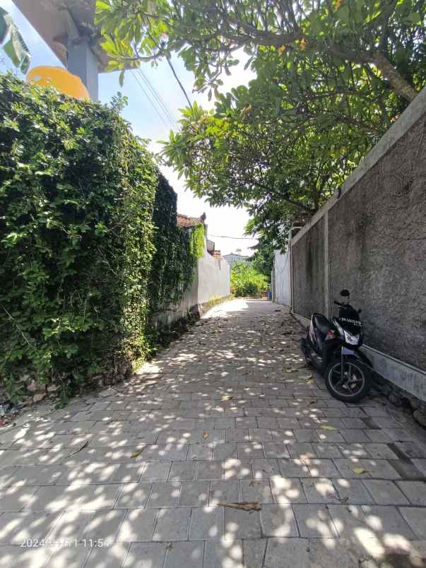 dijual tanah canggu berawa badung bali