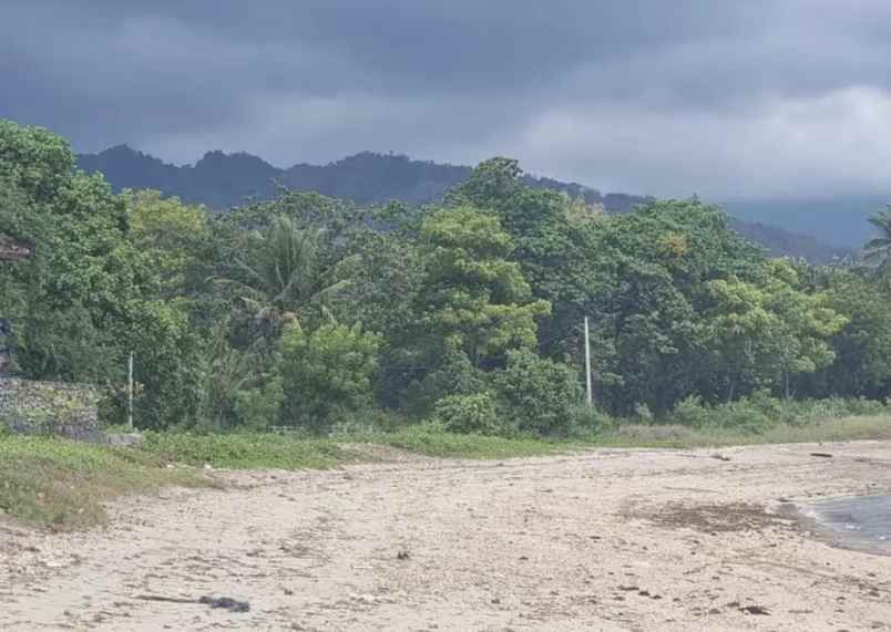 dijual tanah celukan bawang buleleng bali