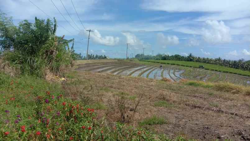 dijual tanah desa antap kec selemadeg