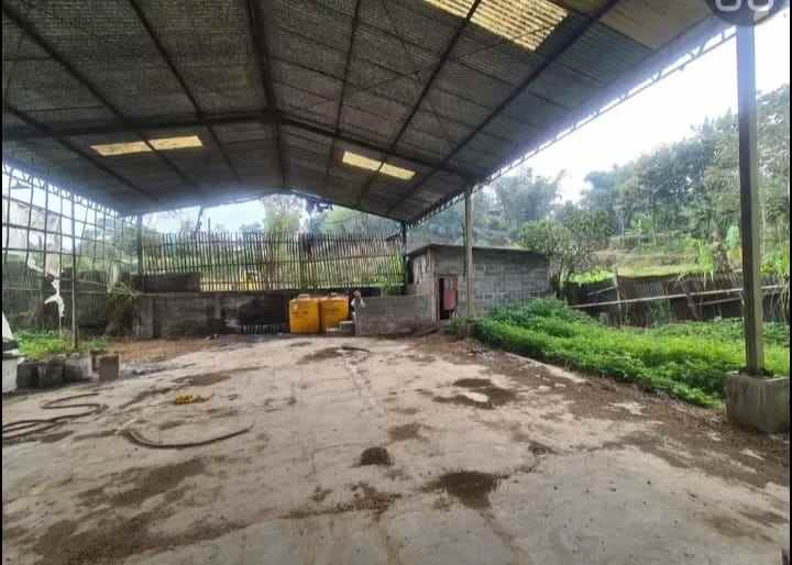 dijual tanah di karangploso malang