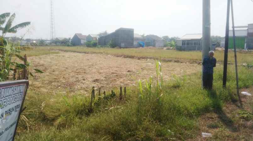 dijual tanah dusun bibis rw 11 kel
