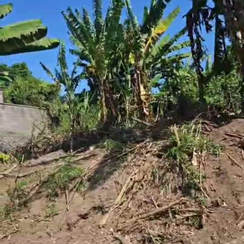 dijual tanah gianyar