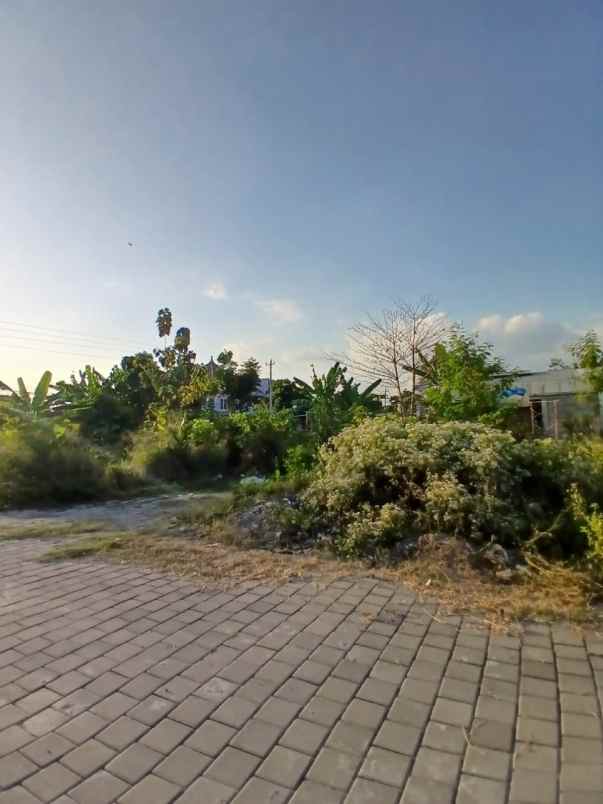 dijual tanah griya taman asri
