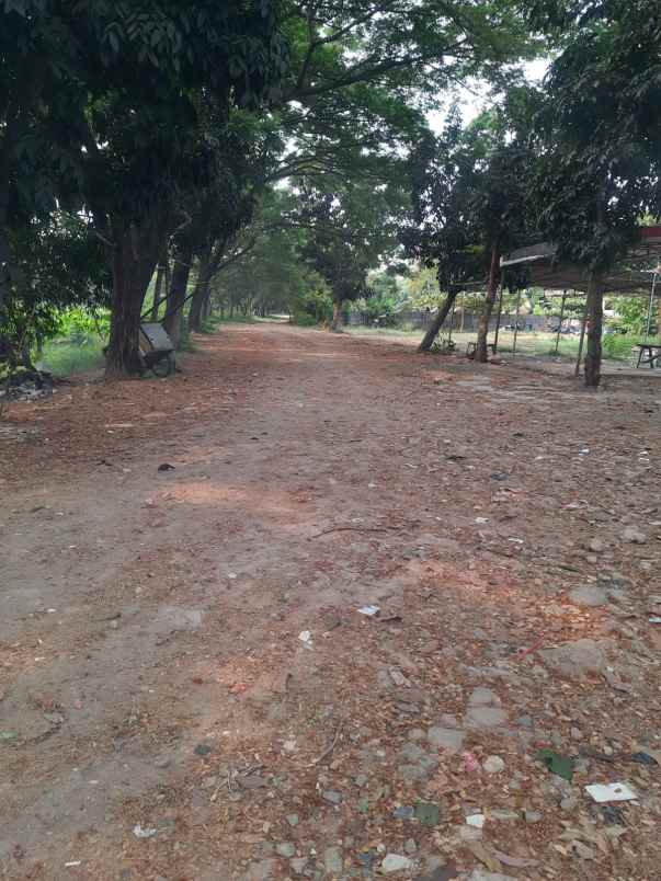 dijual tanah jalan raya cikunir