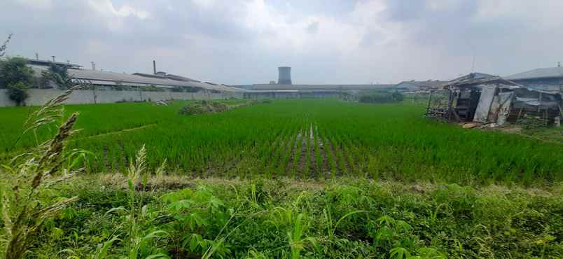 dijual tanah jalan sukamenak