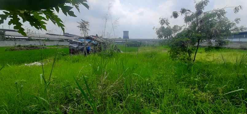 dijual tanah jalan sukamenak
