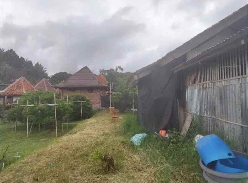 dijual tanah ji dr setiabudi kec