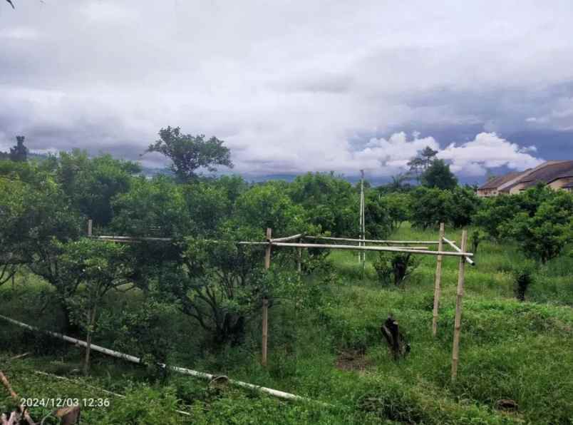 dijual tanah ji dr setiabudi kec