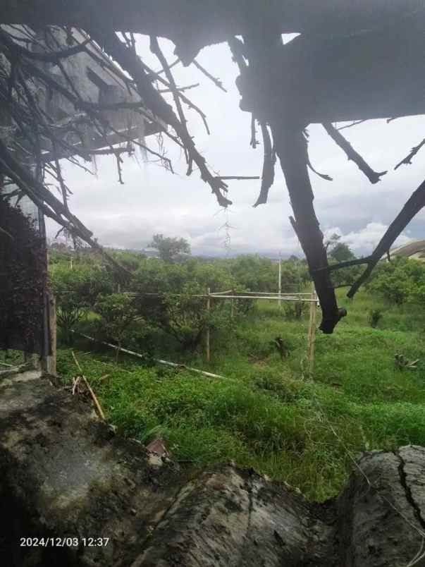 dijual tanah jl dr setiabudi kota bandung