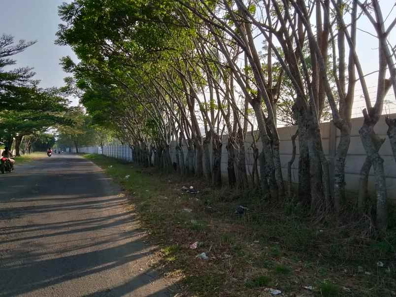 dijual tanah jl pelita cipatuguran