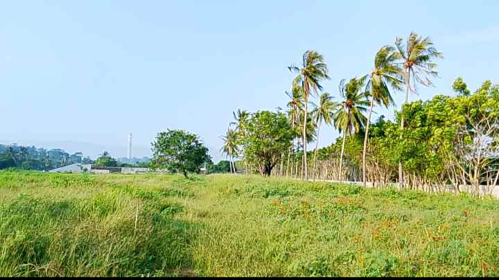 dijual tanah jl pelita cipatuguran
