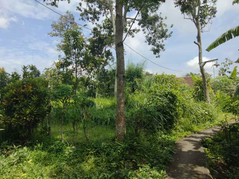 dijual tanah kaliaren