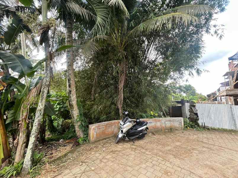 dijual tanah kawasan villa lokasi ubud
