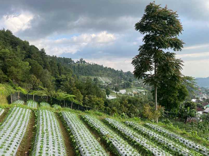 dijual tanah kemuning karanganyar