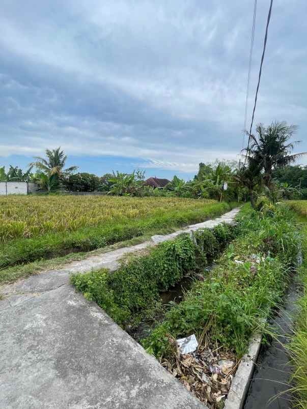 dijual tanah ketewel sukawati