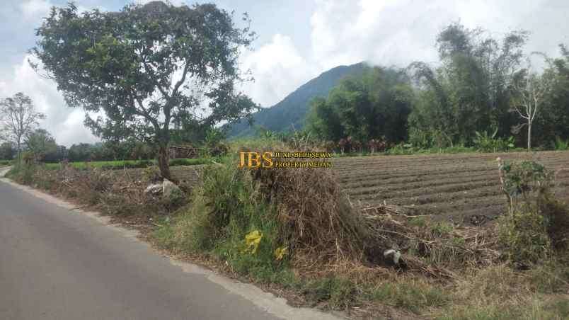 dijual tanah kosong di daerah tanjung barus berastagi