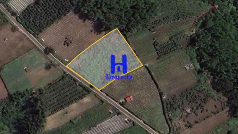 dijual tanah kosong di daerah tanjung barus berastagi