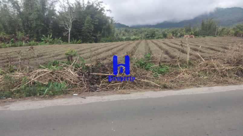 dijual tanah kosong di daerah tanjung barus berastagi