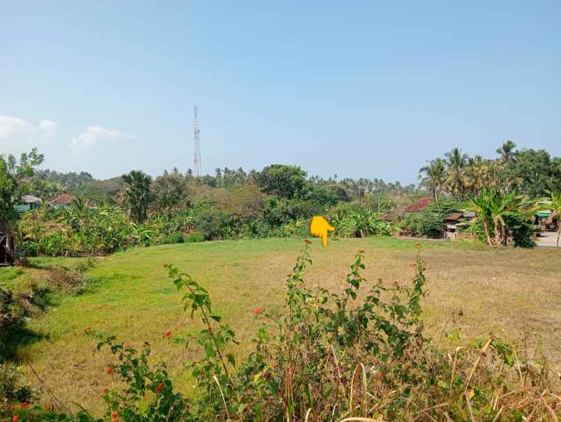 dijual tanah lalanglinggah selemadeg