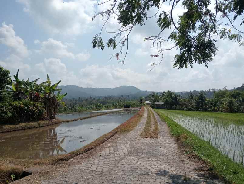 dijual tanah lalanglinggah selemadeg