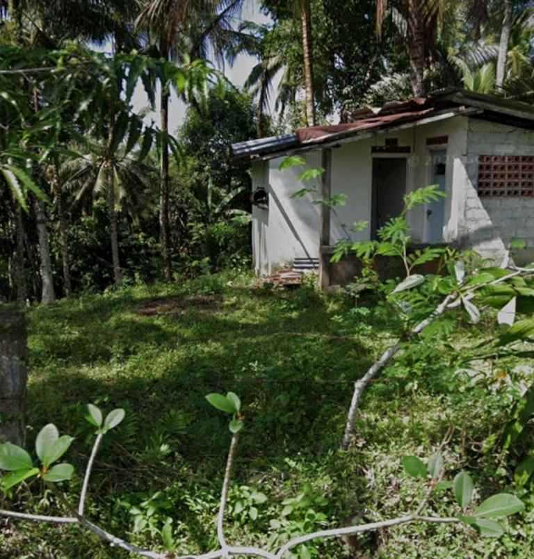 dijual tanah lalanglinggah tabanan bali