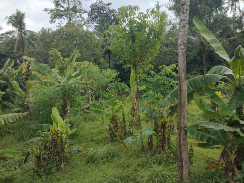 dijual tanah mandirancan kab kuningan