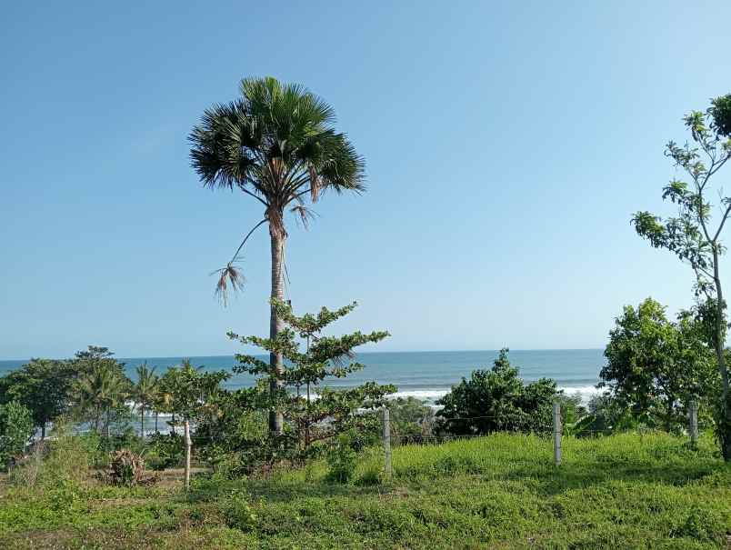 dijual tanah medewi kec pekutatan kab