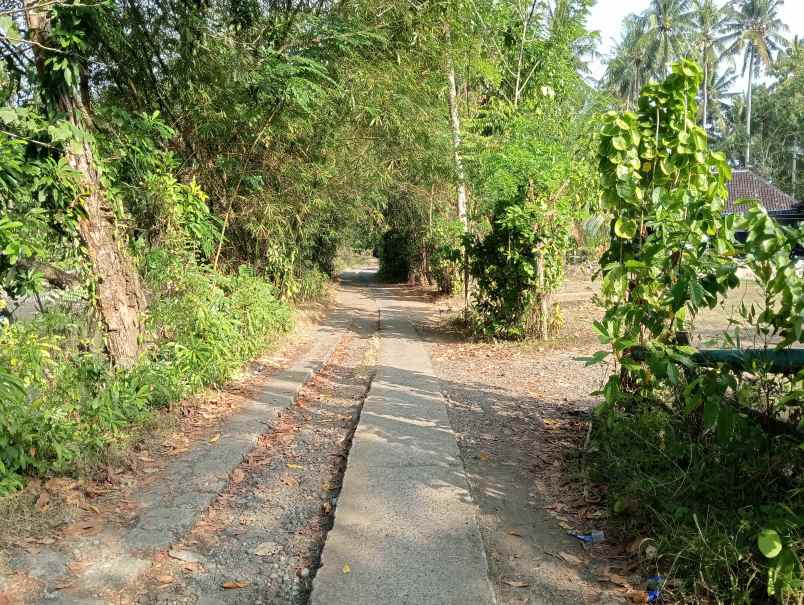 dijual tanah medewi kec pekutatan kab