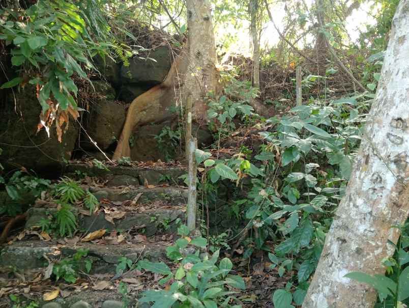 dijual tanah medewi kec pekutatan kab