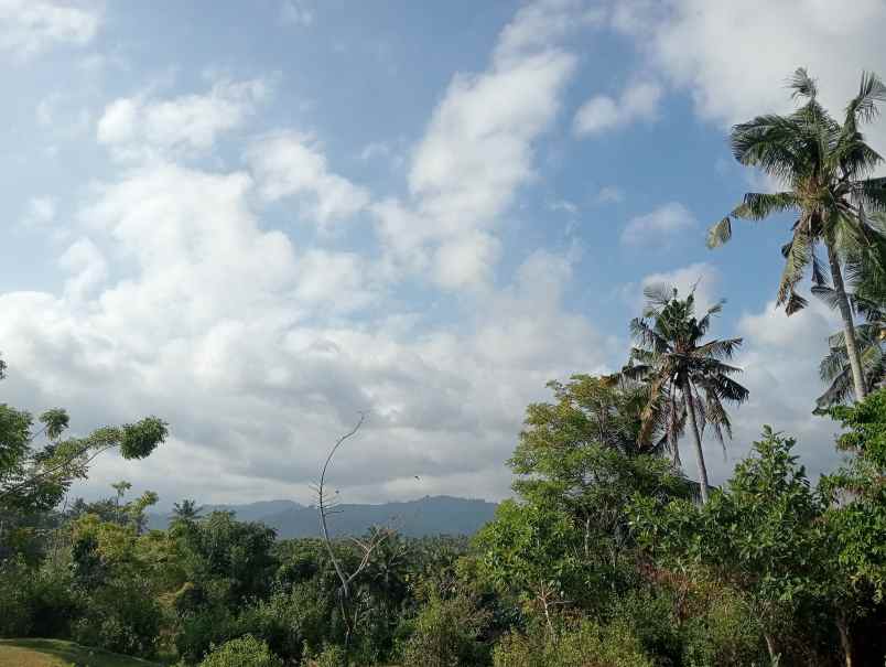 dijual tanah medewi kec pekutatan kab