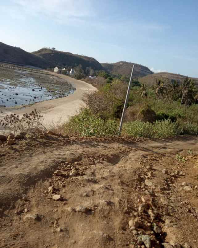 dijual tanah mertak lombok