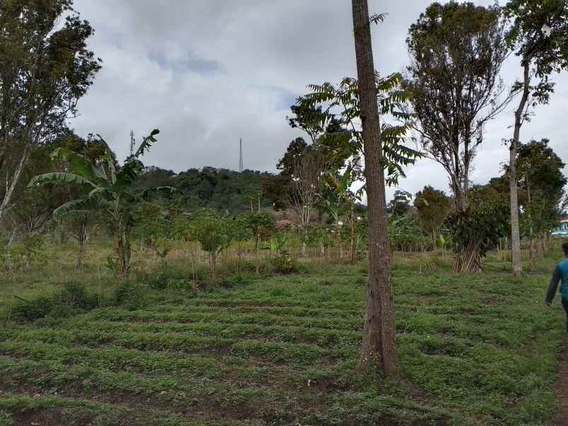 dijual tanah nagreg lokasi strategis