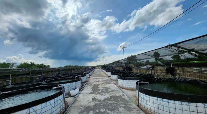 dijual tanah ngabar