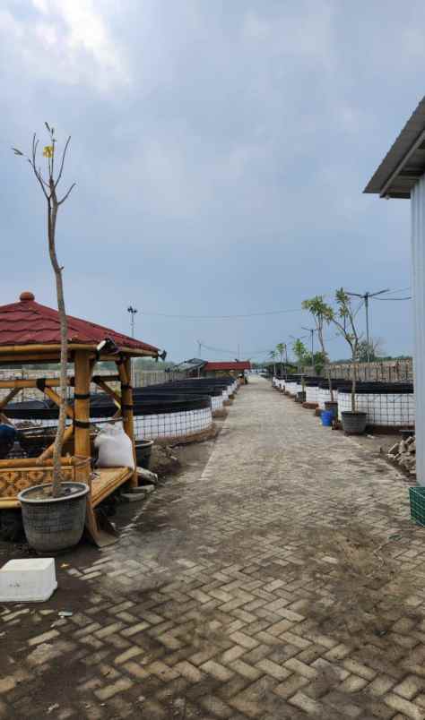 dijual tanah ngabar