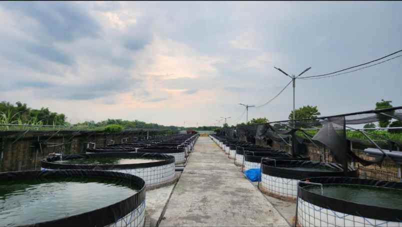 dijual tanah ngabar