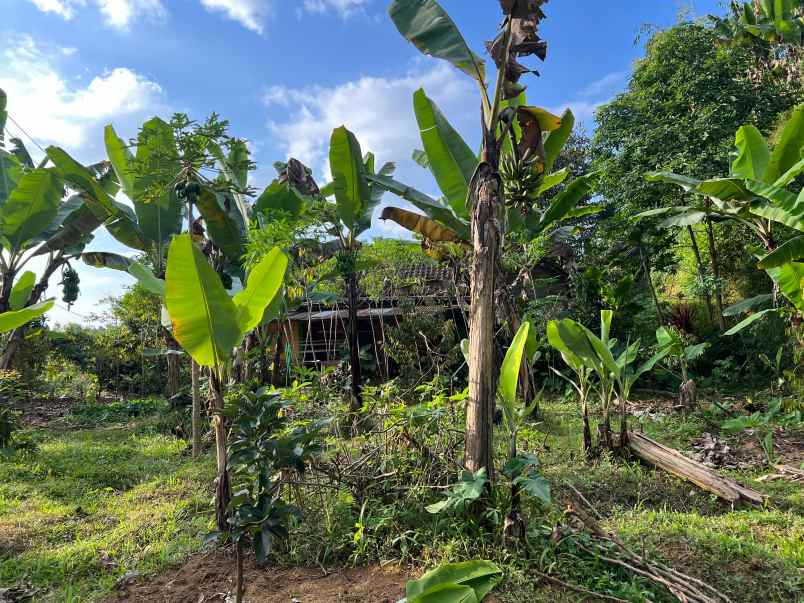 dijual tanah ngargoyoso karanganyar