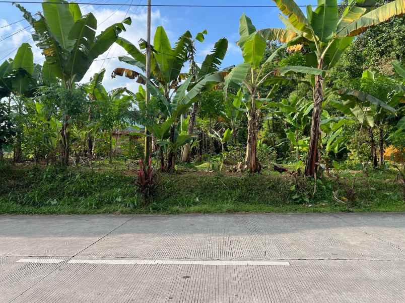 dijual tanah ngargoyoso karanganyar