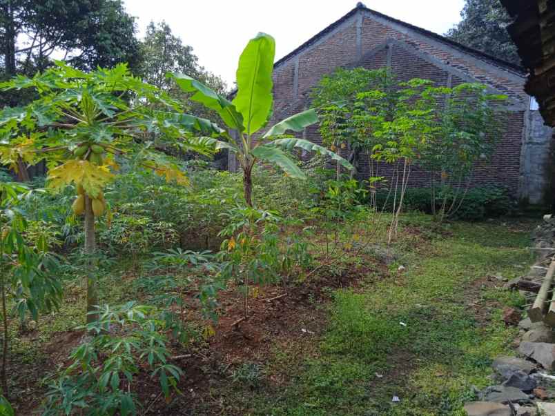 dijual tanah pakintelan gunungpati