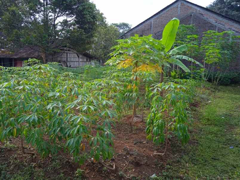 dijual tanah pakintelan gunungpati