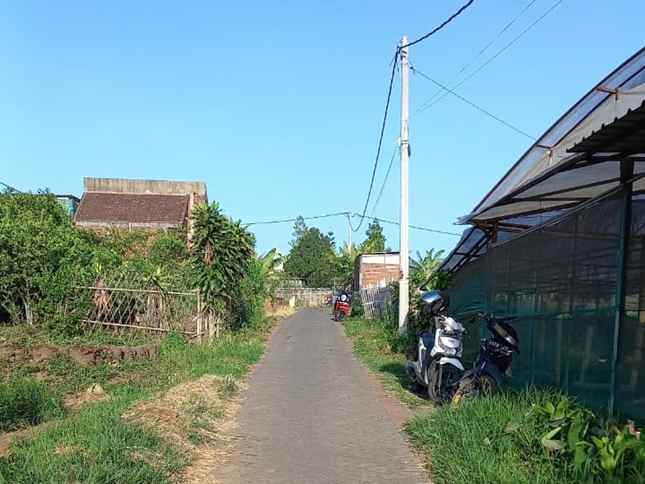 dijual tanah pandanrejo