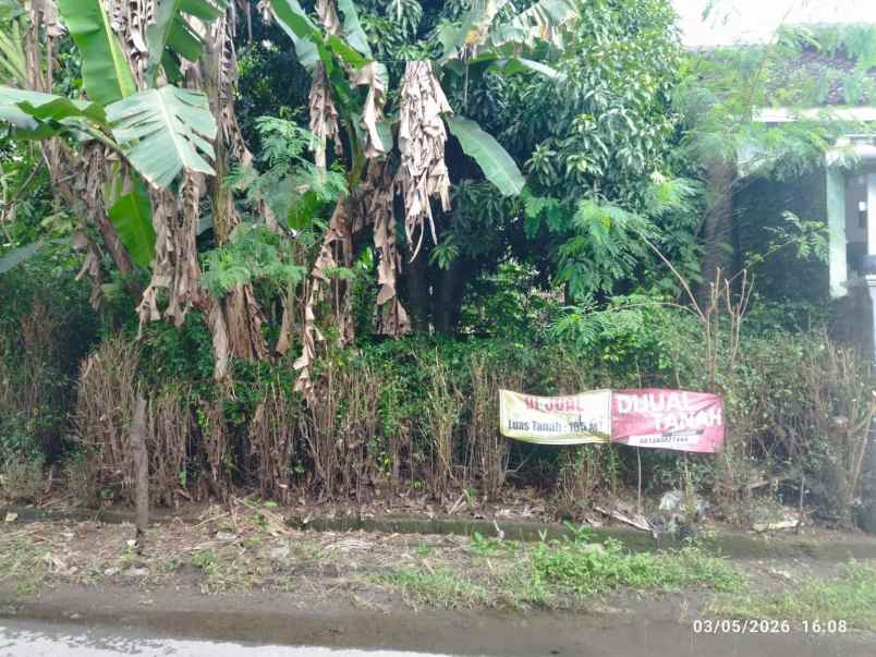 dijual tanah pekarangan kebun