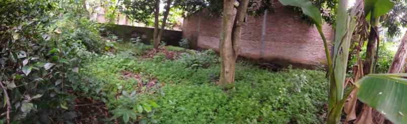 dijual tanah pekarangan kebun