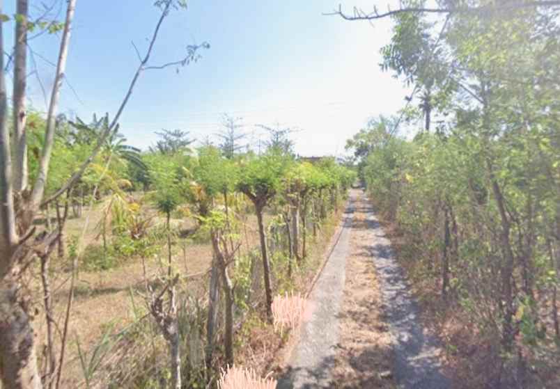 dijual tanah pemuteran buleleng bali